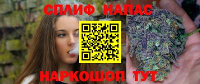 стаф Будённовск