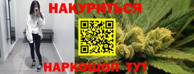 стаф Будённовск