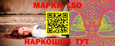 стаф Будённовск
