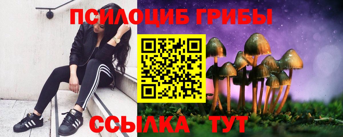 Псилоцибиновые грибы Psilocybine cubensis  Вход с VPN  Псилоцибиновые грибы Psilocybe  Пенза 