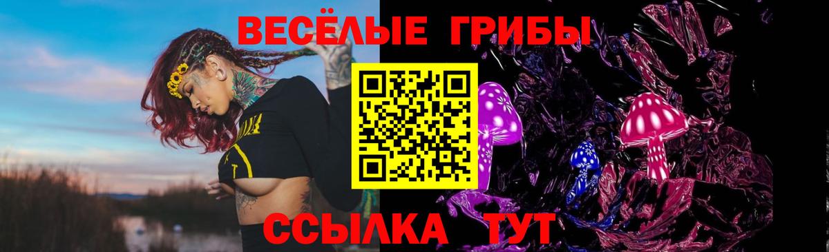 Псилоцибиновые грибы прущие грибы Пенза